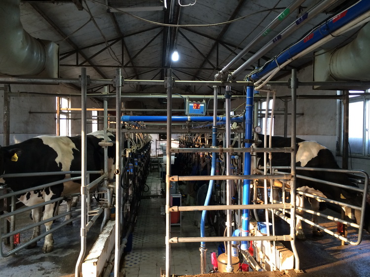 華騰云視訊技術平臺服務河南省農牧業(圖1)