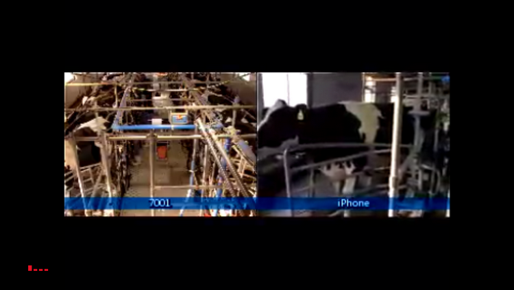 華騰云視訊技術平臺服務河南省農牧業(圖2)