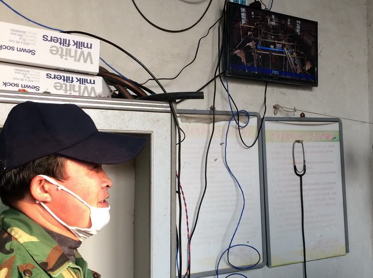 華騰云視訊技術平臺服務河南省農牧業(圖3)