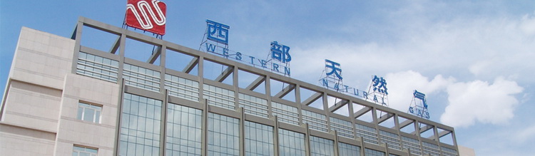 內蒙古西部天然氣股份有限公司部署華騰高清視頻會議系統(圖1)